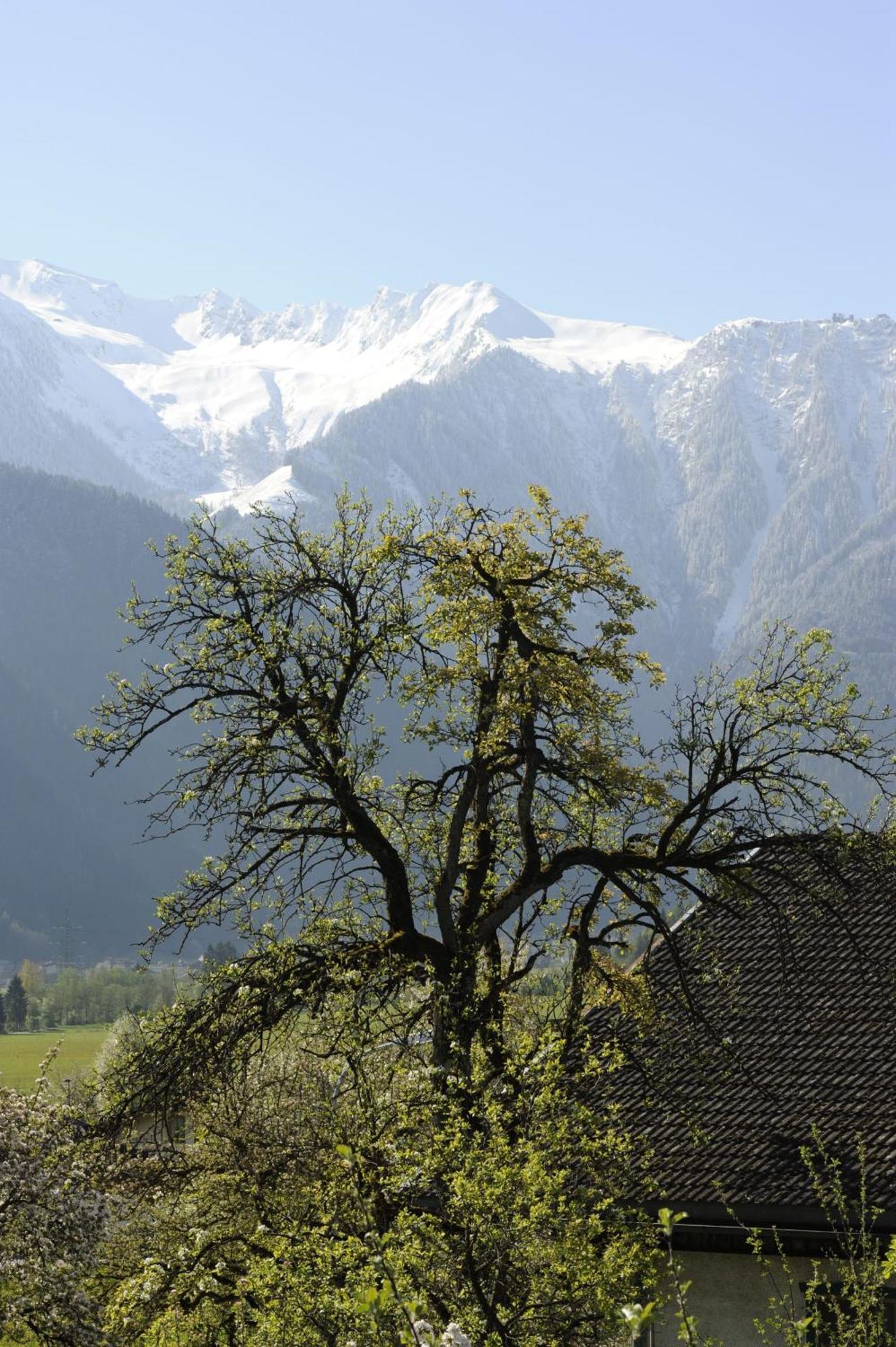 Oberstockachhof Apartment Schwendau Bagian luar foto